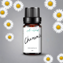 Load image into Gallery viewer, Chamomile Essential Oil - 10ml - Aurascent