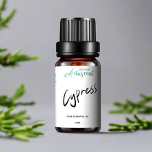 Load image into Gallery viewer, Cypress Essential Oil - 10ml