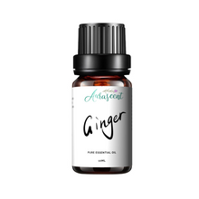 Load image into Gallery viewer, Ginger Essential Oil - 10ml