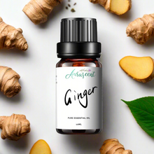 Load image into Gallery viewer, Ginger Essential Oil - 10ml