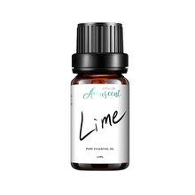Load image into Gallery viewer, Lime Essential Oil - 10 ml - Aurascent