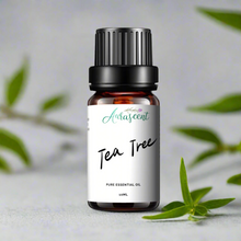 Load image into Gallery viewer, Tea Tree Essential Oil - 10ml