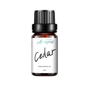 Cedar Essential Oil - 10ml