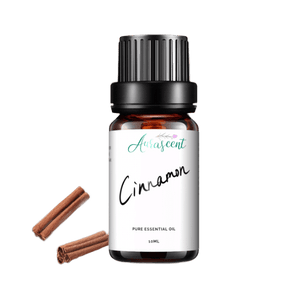 Cinnamon Essential Oil - 10ml - Aurascent