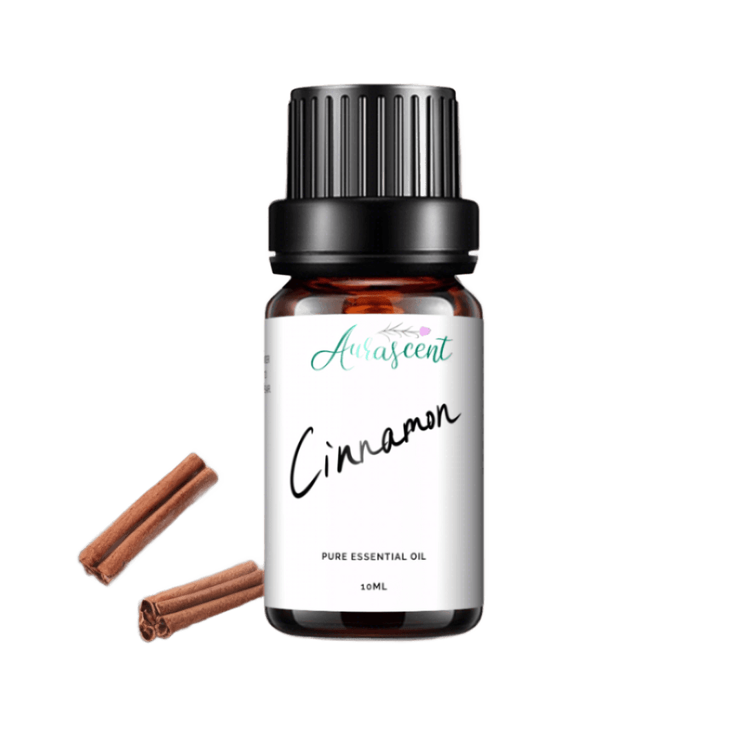 Cinnamon Essential Oil - 10ml - Aurascent