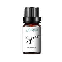 Load image into Gallery viewer, Cypress Essential Oil - 10ml
