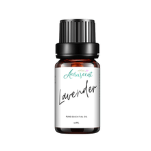 Load image into Gallery viewer, Lavender Essential Oil - 10ml - Aurascent
