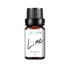 Load image into Gallery viewer, Lime Essential Oil - 10 ml - Aurascent
