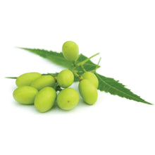 Load image into Gallery viewer, Neem Seed Oil Pure Pharmaceutical Grade, Cold Pressed, Azadirachtin Indica

