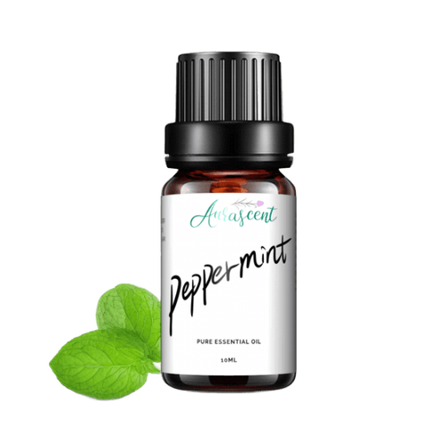 Peppermint Essential Oil - 10ml - Aurascent