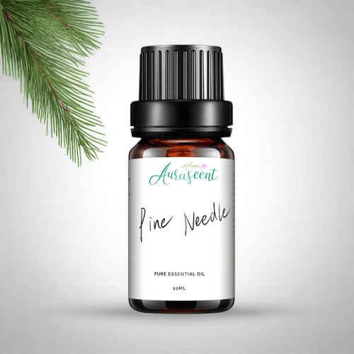 Pine Needles Essential Oil - 10ml - Aurascent