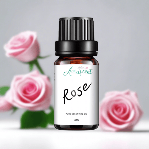 Rose Essential Oil - 10ml - Aurascent