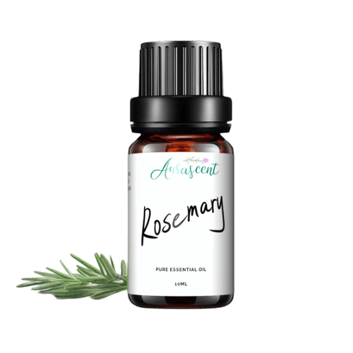 Rosemary Essential Oil - 10ml - Aurascent