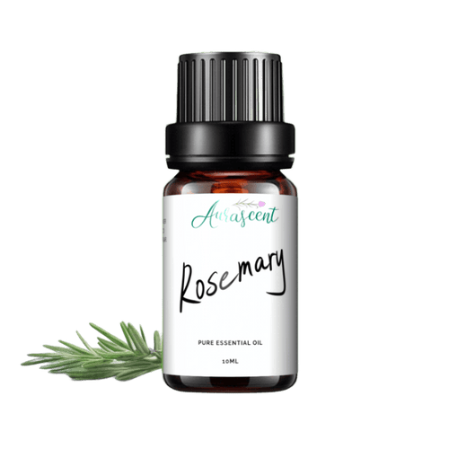 Rosemary Essential Oil - 10ml - Aurascent