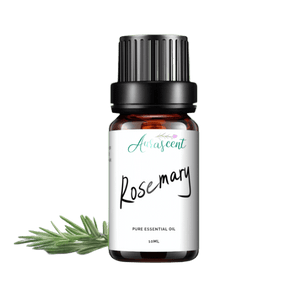 Rosemary Essential Oil - 10ml - Aurascent