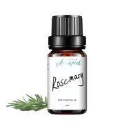 Rosemary Essential Oil - 10ml - Aurascent