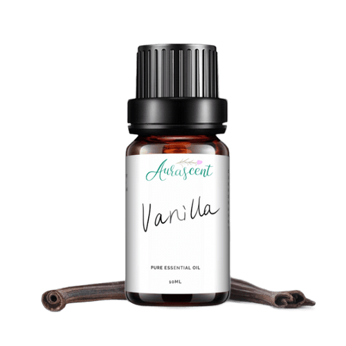 Vanilla Fragrance Oil - 10ml - Aurascent