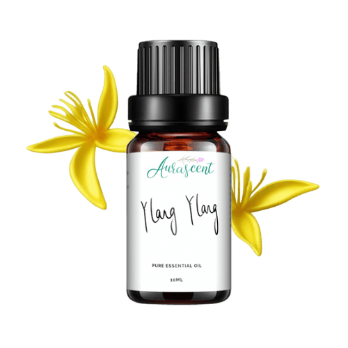 Ylang Ylang Essential Oil - 10ml - Aurascent