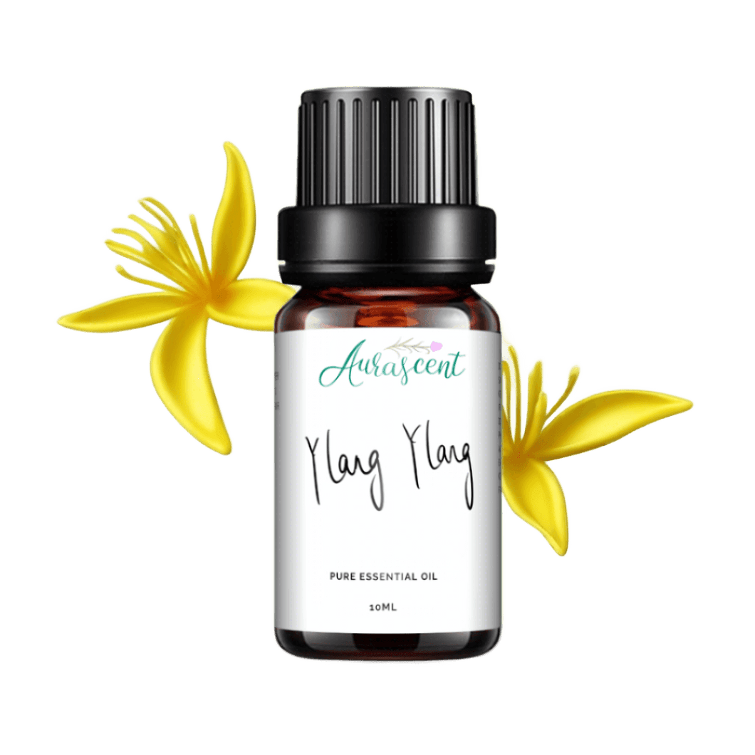 Ylang Ylang Essential Oil - 10ml