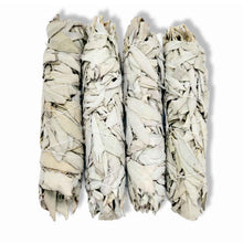 Load image into Gallery viewer, Californian White Sage Incense Smudge Sticks | 20-22cm | Jumbo-1
