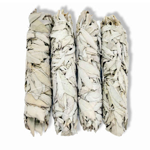 Californian White Sage Incense Smudge Sticks | 20-22cm | Jumbo-1