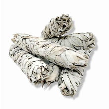 Load image into Gallery viewer, Californian White Sage Incense Smudge Sticks | 20-22cm | Jumbo-0
