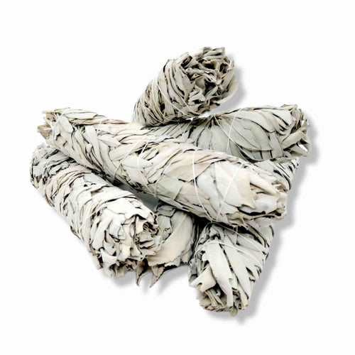 Californian White Sage Incense Smudge Sticks | 20-22cm | Jumbo-0