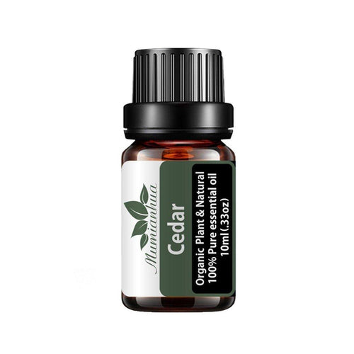 Cedar Essential Oil - 10ml - Aurascent