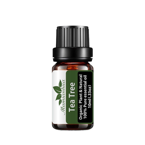 Tea Tree Essential Oil - 10ml - Aurascent